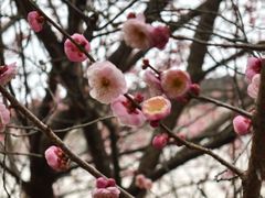 -潜口民宅博物馆
