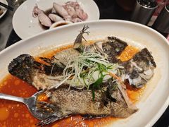 藤椒蒸龙胆鱼-兴仙饭店·闽味海鲜(马尾总店)