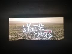 -星辰9号幻影会