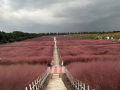 -嘉北郊野公园