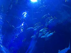 -成都浩海立方海洋公园