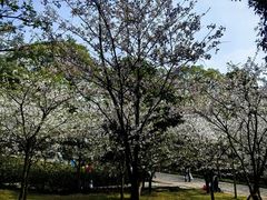 -南山植物园