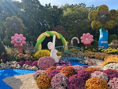 -上海共青森林公园