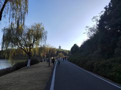-宜兴龙背山森林公园