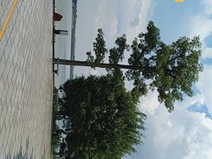 -羚羊峡古栈道森林公园