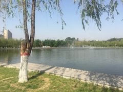 -五环公园