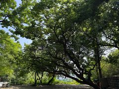 -连云港云龙涧原生态风景区
