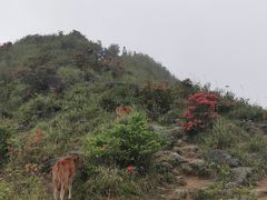 -广东天露山旅游度假区