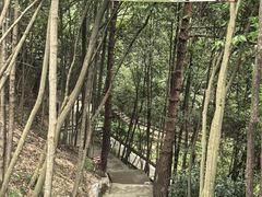 -鄣山大峡谷
