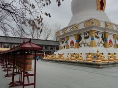 -护国法轮寺