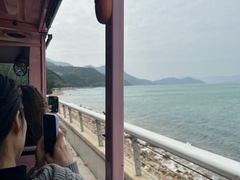 -杨梅坑