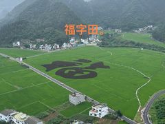 -万峰林风景区