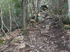 -午潮山国家森林公园