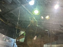 -萌宠奇缘(荣鼎店)