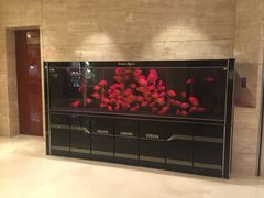 -常州逸高酒店-中餐厅