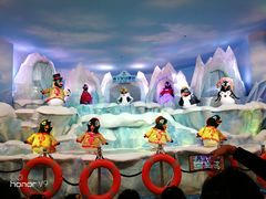 -帝企鹅自助餐厅•儿童岛•真企鹅(长隆企鹅酒店)