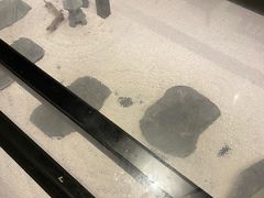 -顾乡私房菜(金沙天街店)
