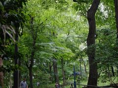 -井之头恩赐公园