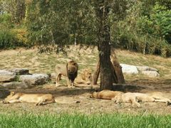 -北京野生动物园