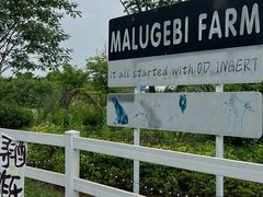 -天目湖涵田度假村