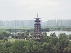 -洋湖国家湿地公园