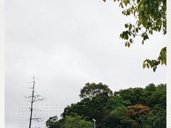 -广州市帽峰山景区