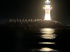 -海南清水湾莱佛士酒店