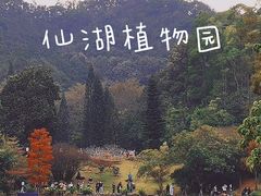 -深圳仙湖植物园