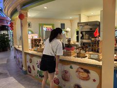 -美食小镇·观赏珍稀鸟类·长隆熊猫酒店