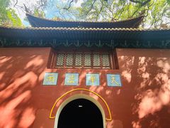 -普陀山风景名胜区-法雨禅寺