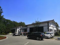 -桤木河湿地公园