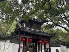-杭州黄龙洞
