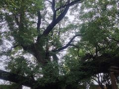iphone_upload_pic-仓颉庙