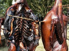 -杭州六谷生态休闲农庄有限公司