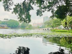-荔湾湖公园