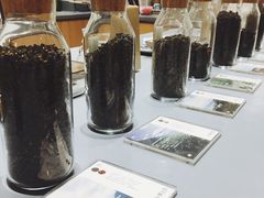 -沙茶驿站