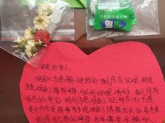 -国信南山温泉
