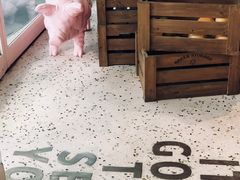 -WHEN PIGS FLY当猪飞