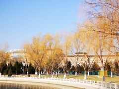 -莲花池公园
