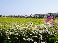 -迪茵湖田家舍生态农场