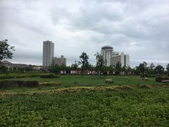 -汇泉广场