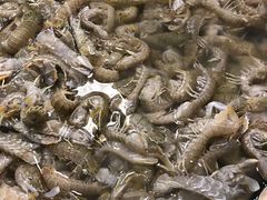 -孙家码头海鲜自助美食城