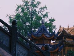 -上海东林寺(金山区)
