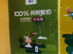-三佰瑞冻酸奶(凯德MALL店)