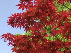 -唐城墙遗址公园