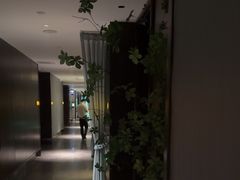 -新偶像健康汇•水疗SPA•豪华自助餐(世界城店)