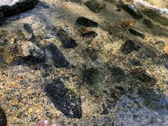 -碓臼峪自然风景区