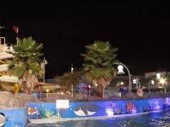 -青鱼湾水上乐园