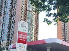 -中国石化十里河加油站