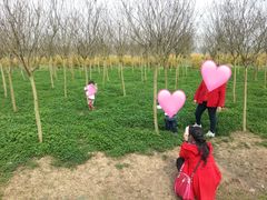 -白鹭湾湿地公园